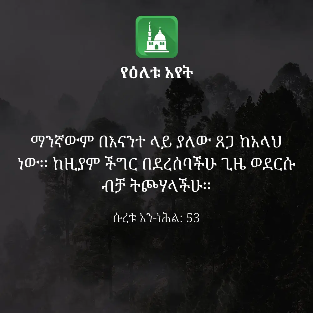ዕለታዊ አያት