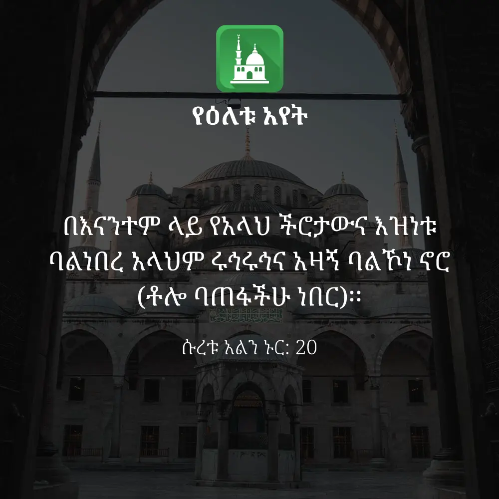 ዕለታዊ አያት