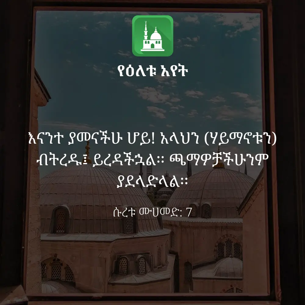 ዕለታዊ አያት