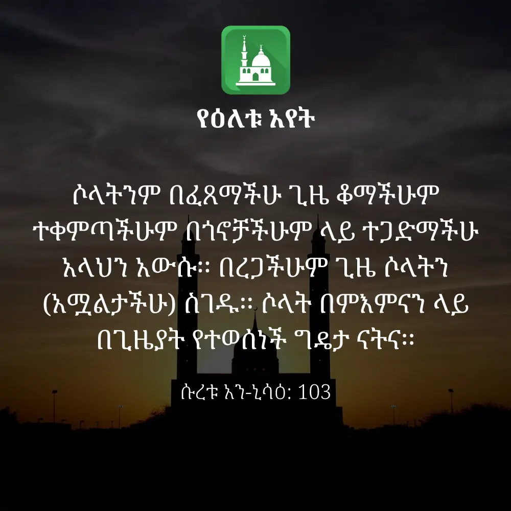 ዕለታዊ አያት