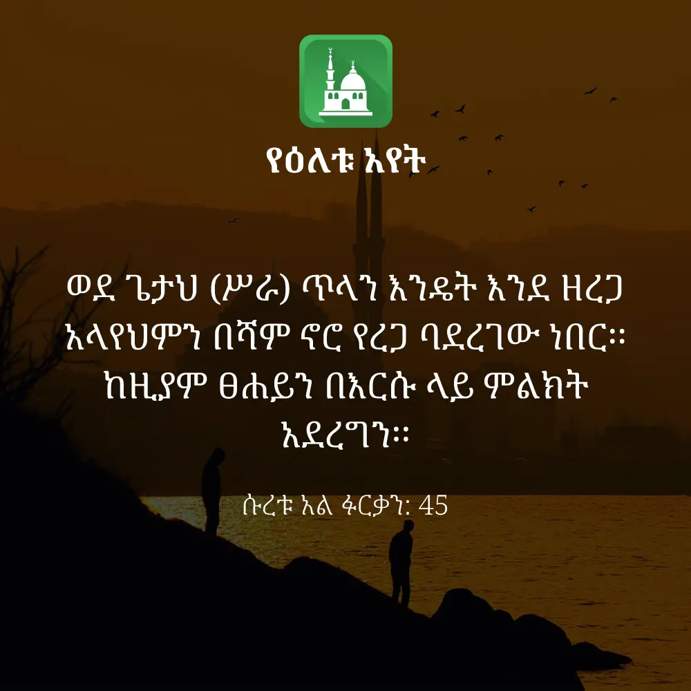 ዕለታዊ አያት