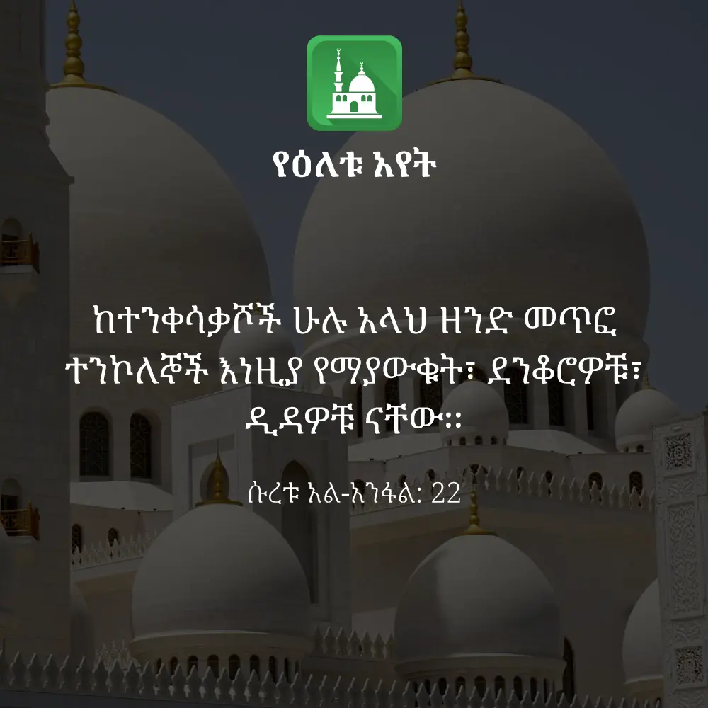 ዕለታዊ አያት