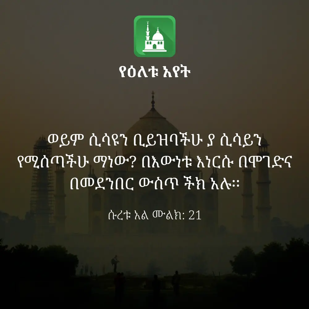 ዕለታዊ አያት