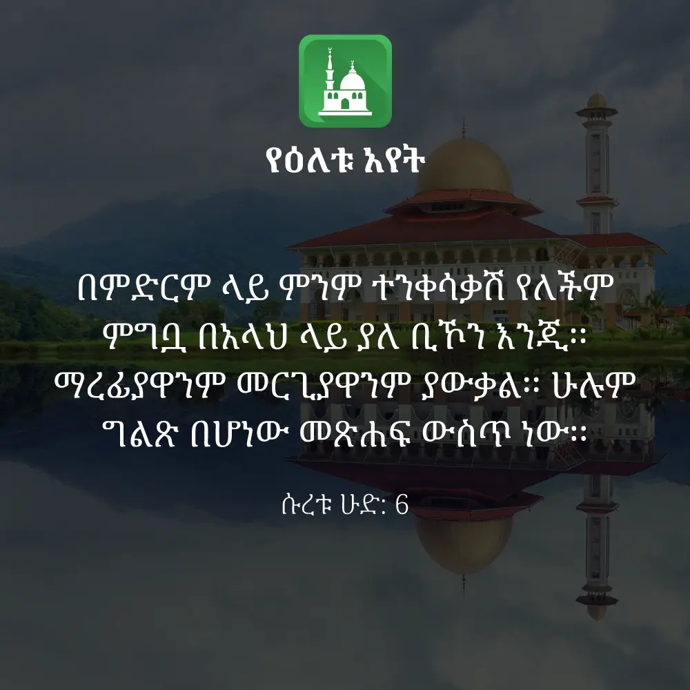 ዕለታዊ አያት