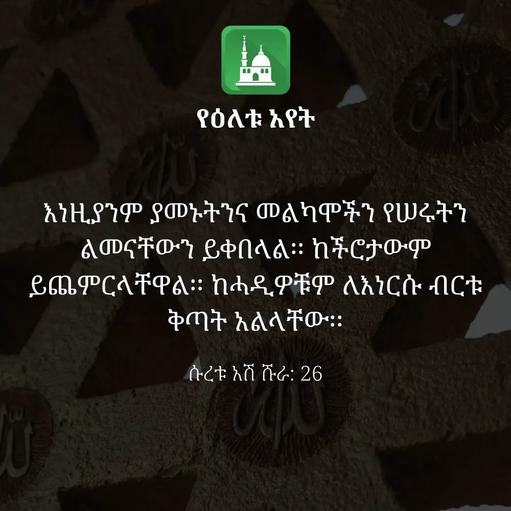 ዕለታዊ አያት