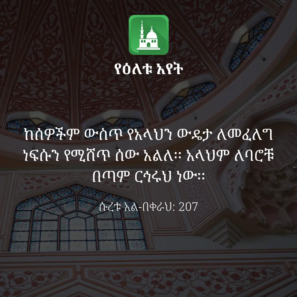 ዕለታዊ አያት