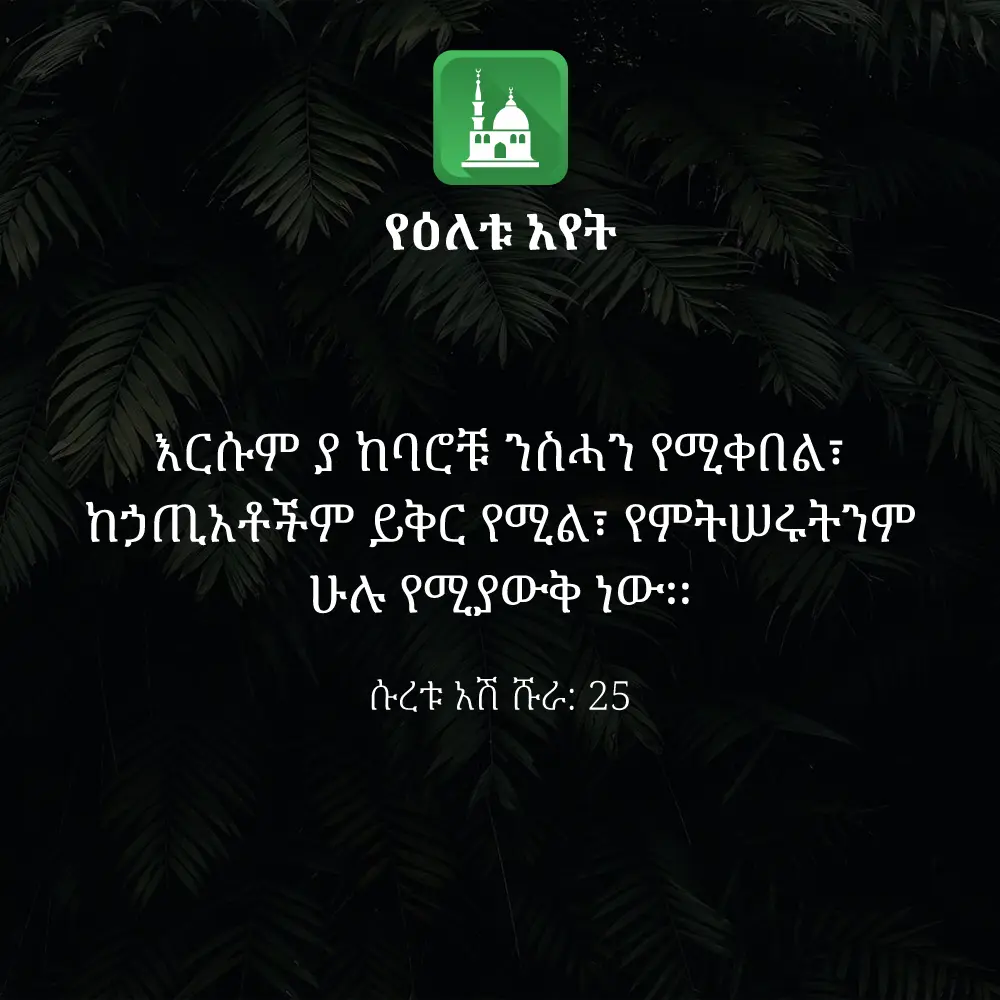 ዕለታዊ አያት