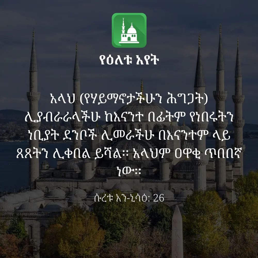 ዕለታዊ አያት