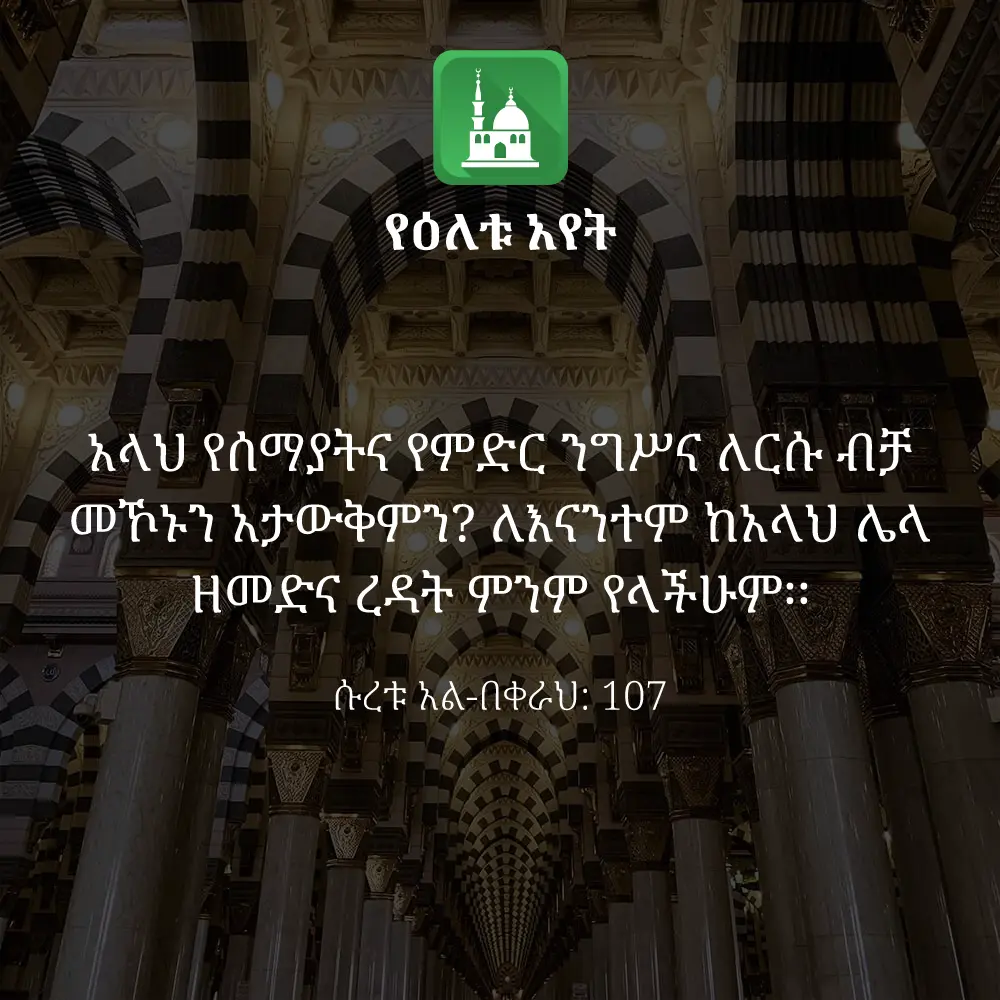 ዕለታዊ አያት