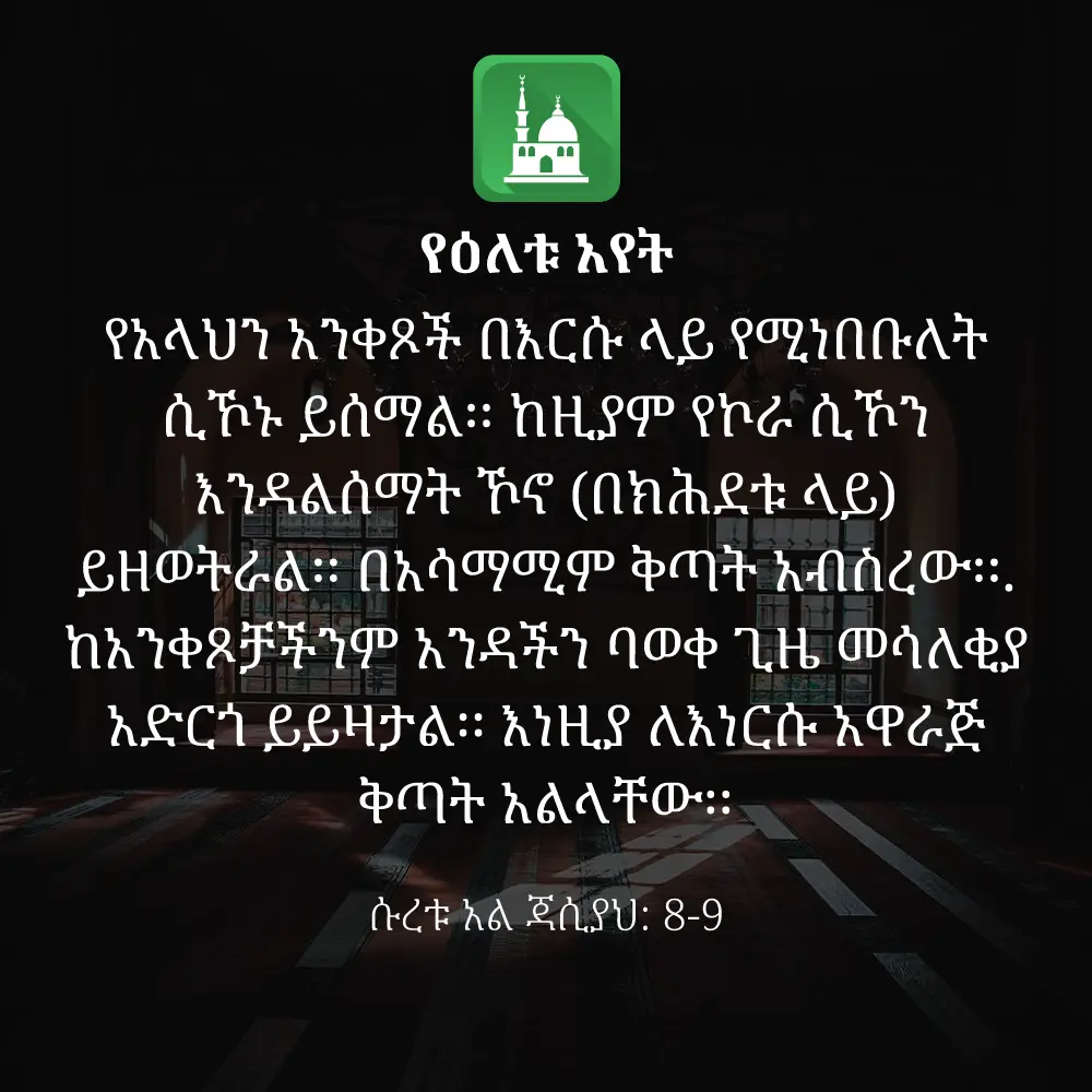 ዕለታዊ አያት