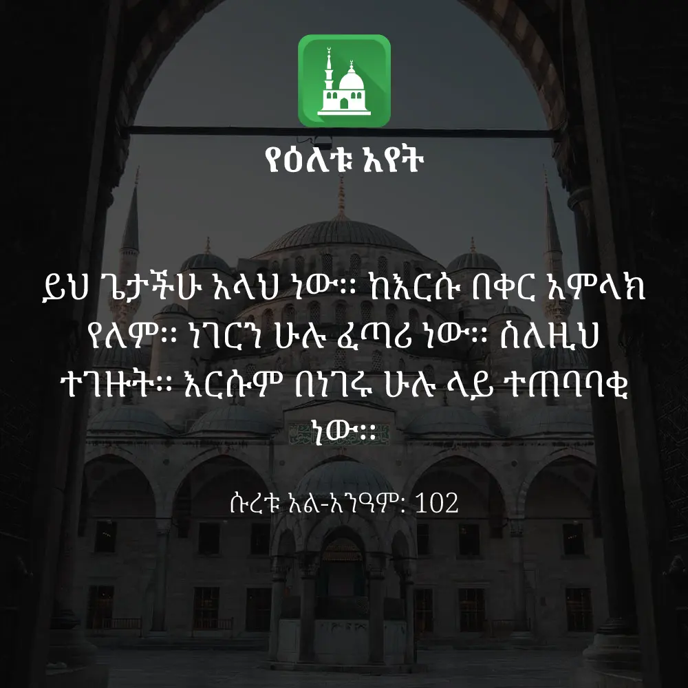 ዕለታዊ አያት