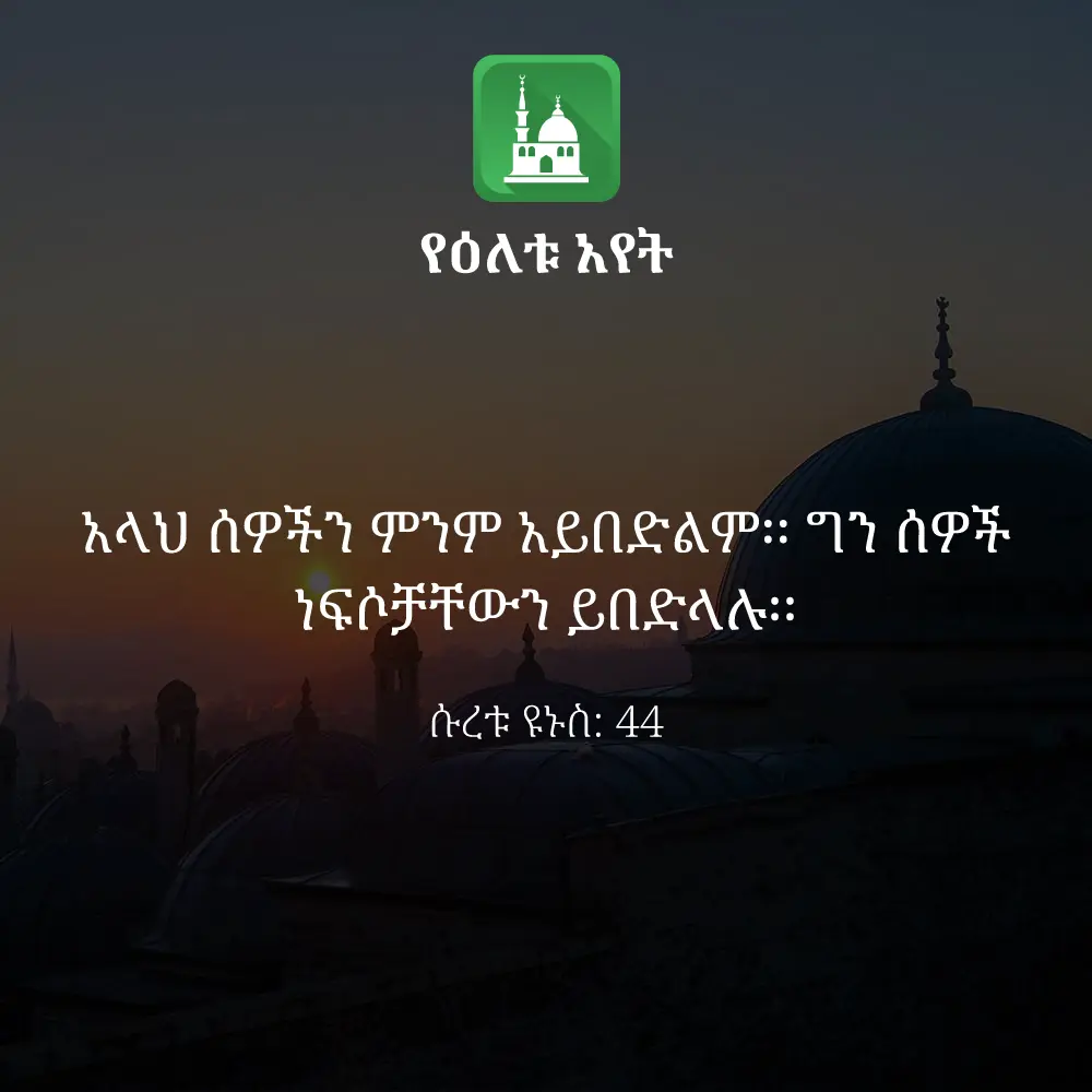 ዕለታዊ አያት