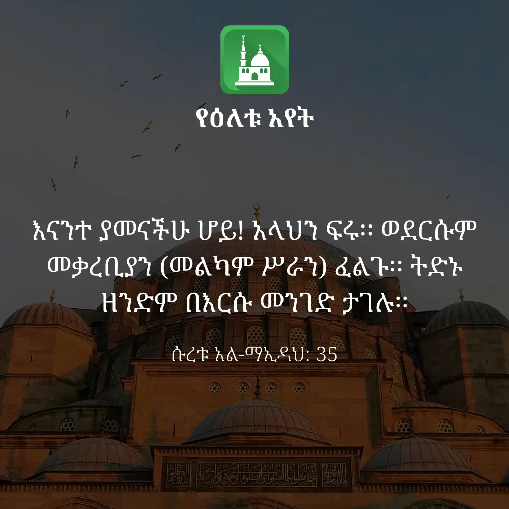 ዕለታዊ አያት