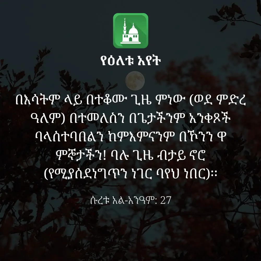 ዕለታዊ አያት