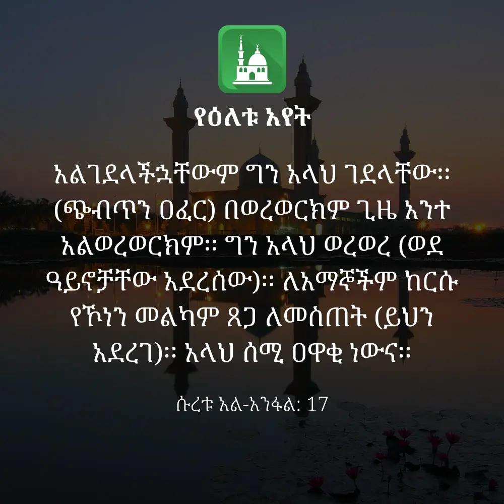 ዕለታዊ አያት