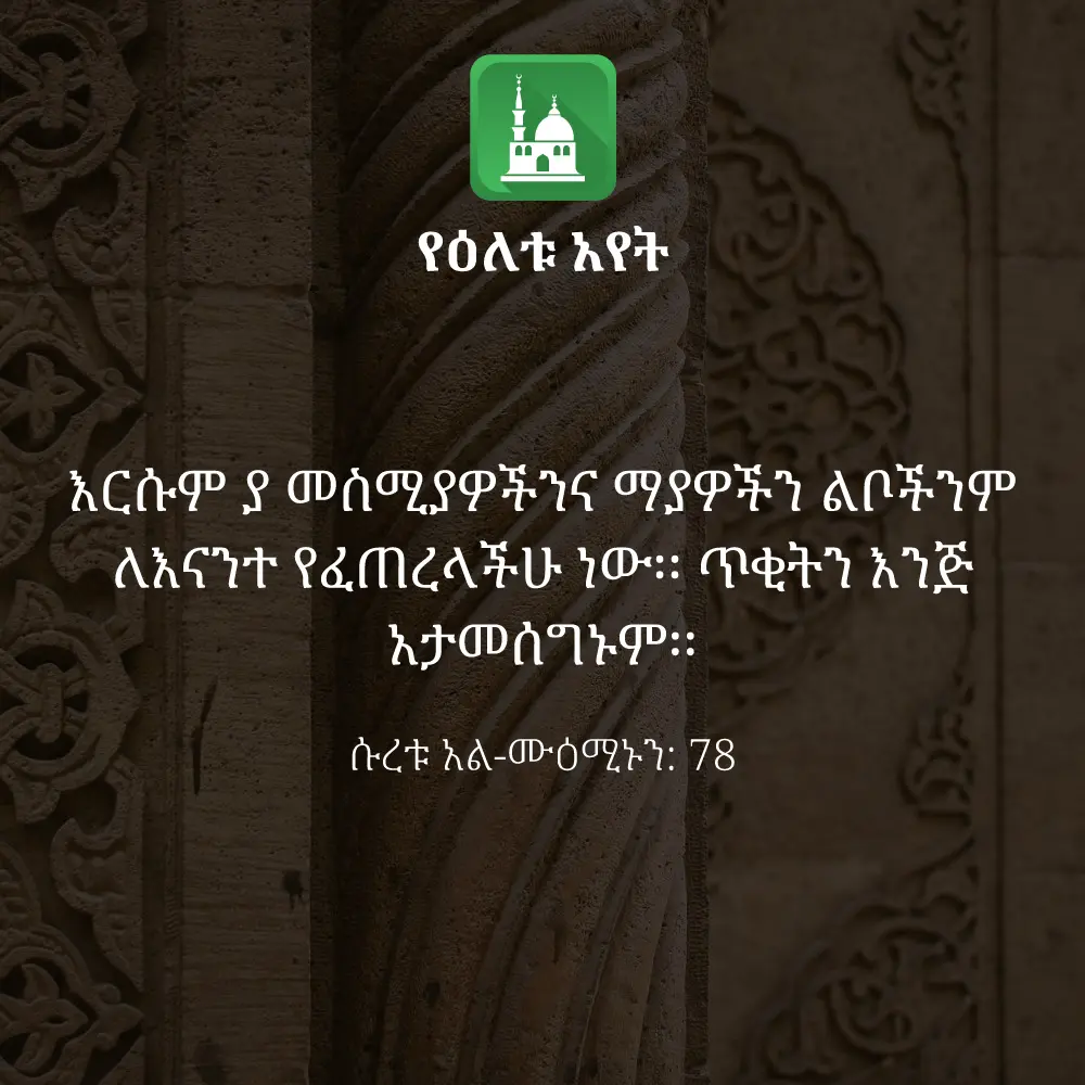 ዕለታዊ አያት