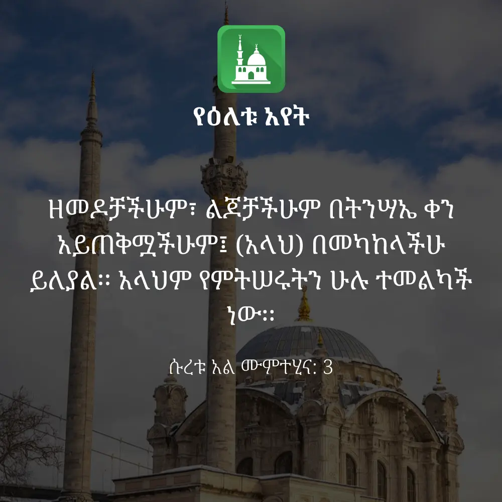 ዕለታዊ አያት