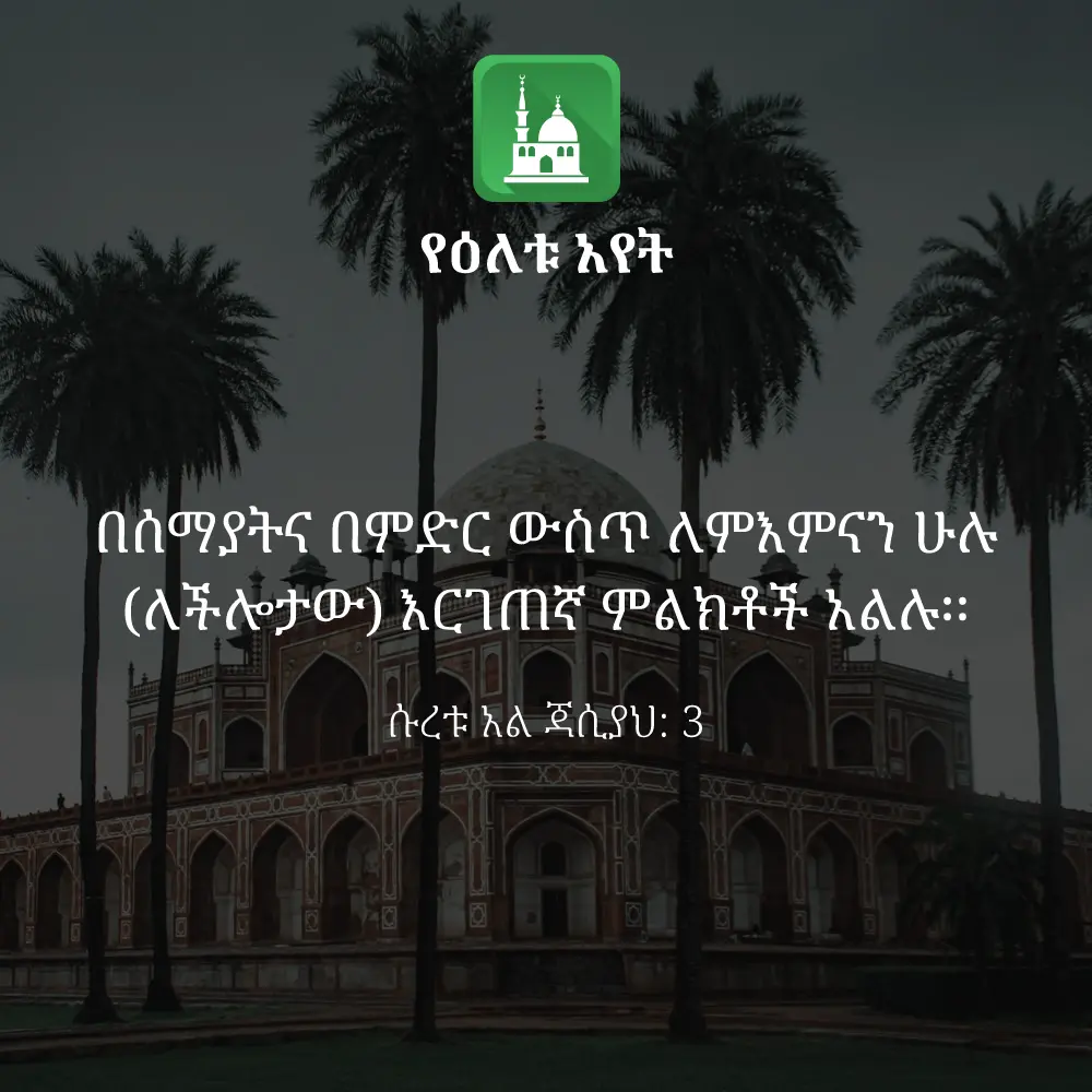 ዕለታዊ አያት