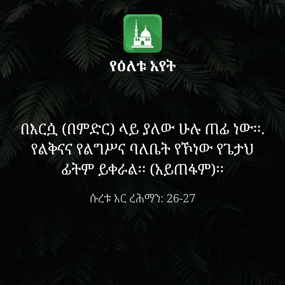 ዕለታዊ አያት