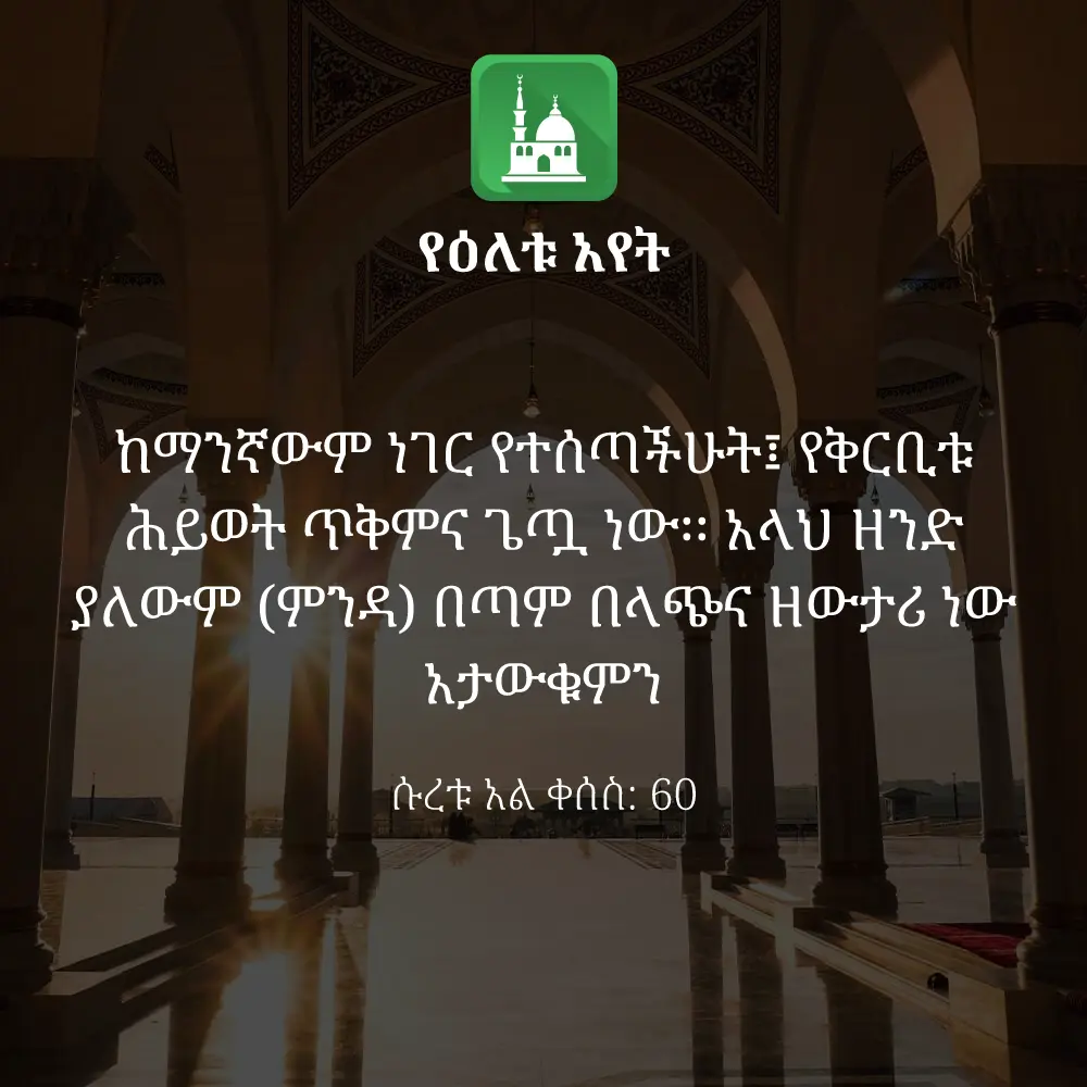 ዕለታዊ አያት