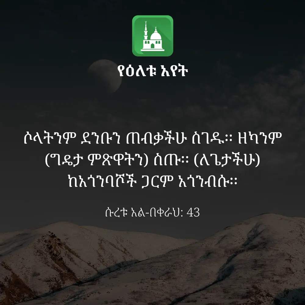 ዕለታዊ አያት