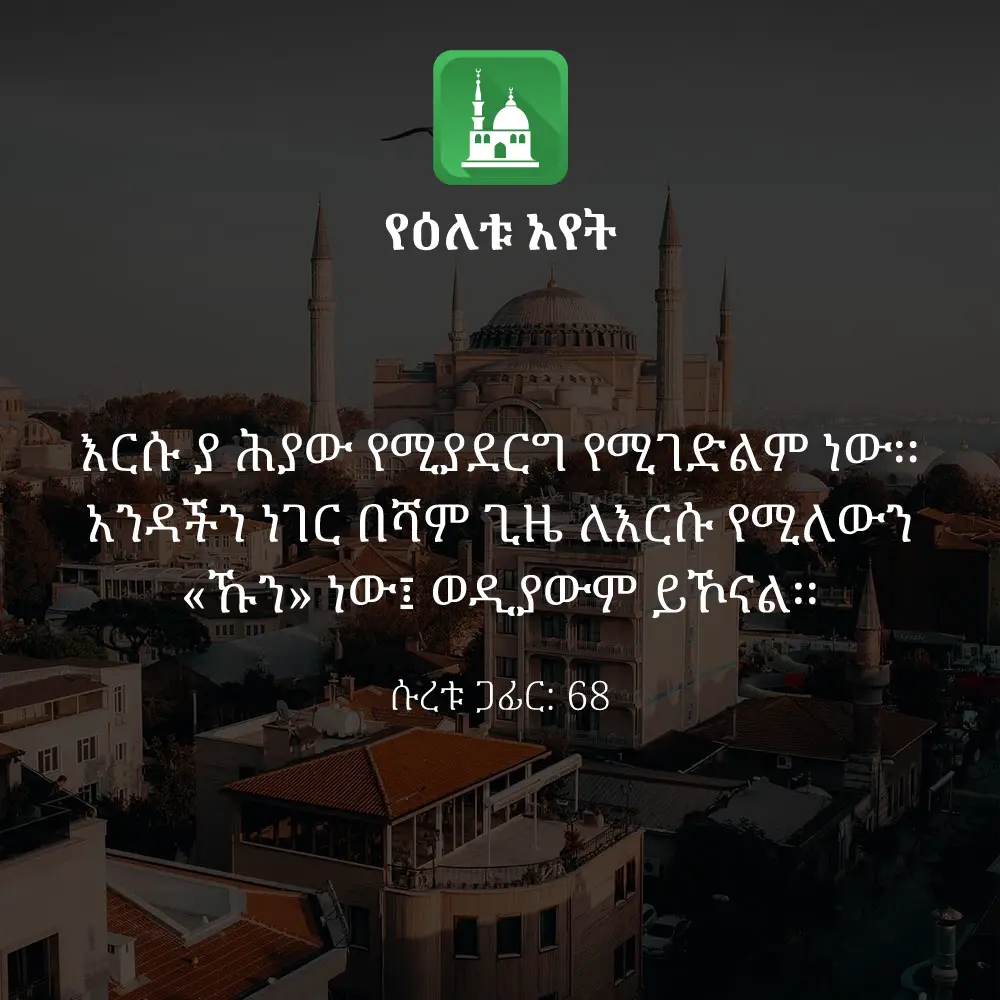 ዕለታዊ አያት