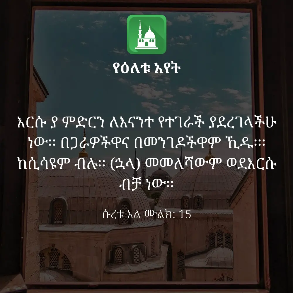 ዕለታዊ አያት