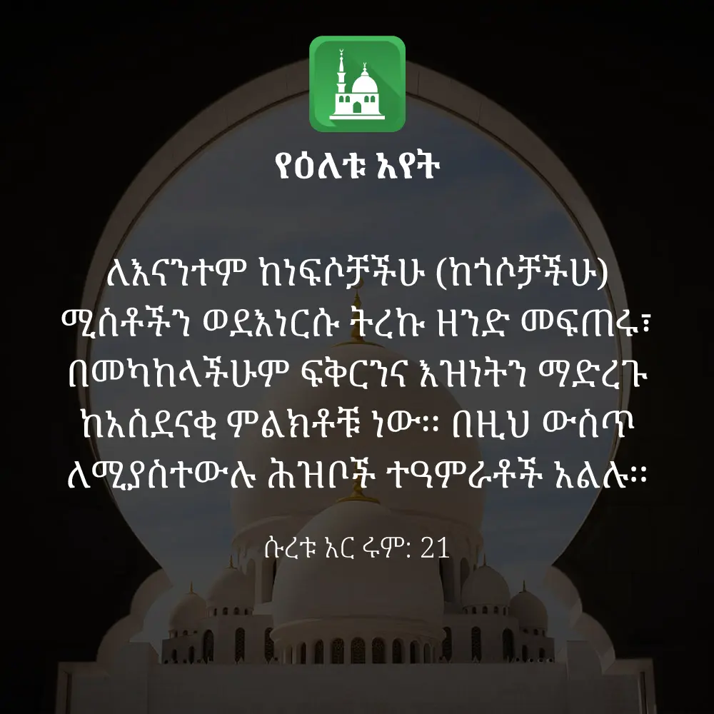 ዕለታዊ አያት