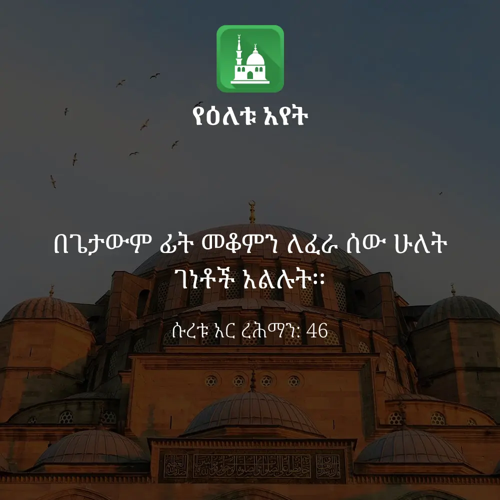 ዕለታዊ አያት