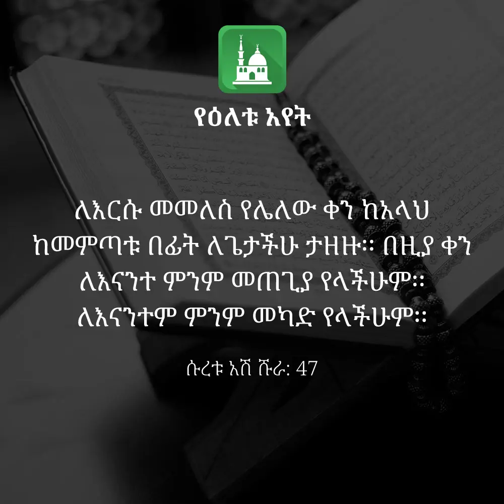 ዕለታዊ አያት