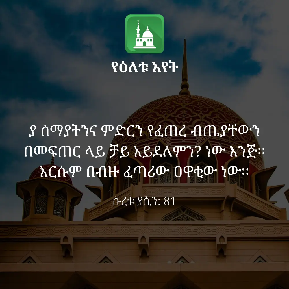 ዕለታዊ አያት