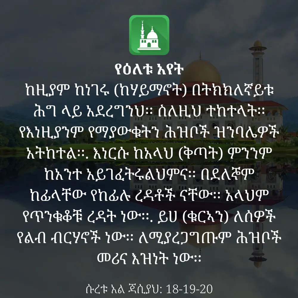 ዕለታዊ አያት