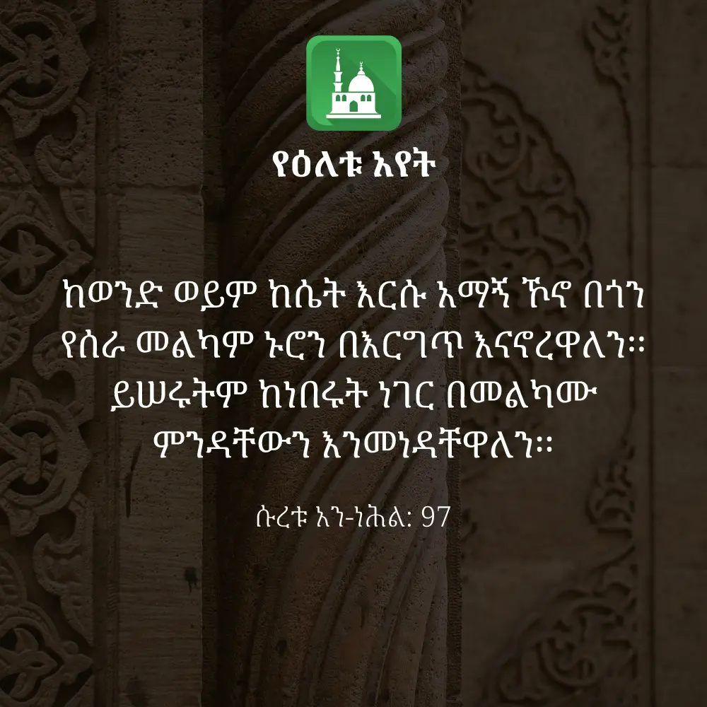 ዕለታዊ አያት