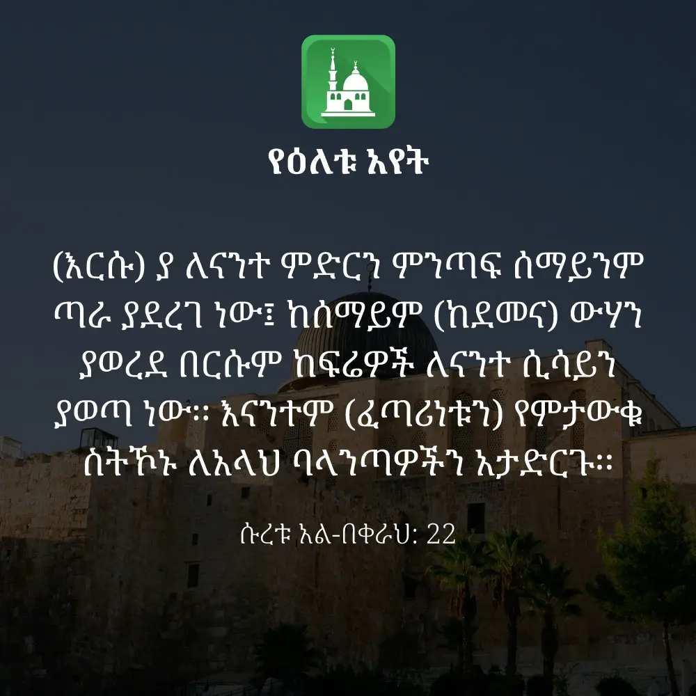 ዕለታዊ አያት