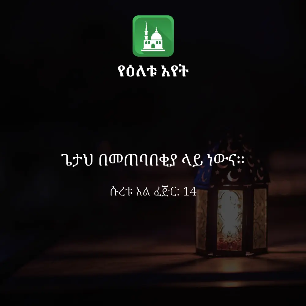 ዕለታዊ አያት