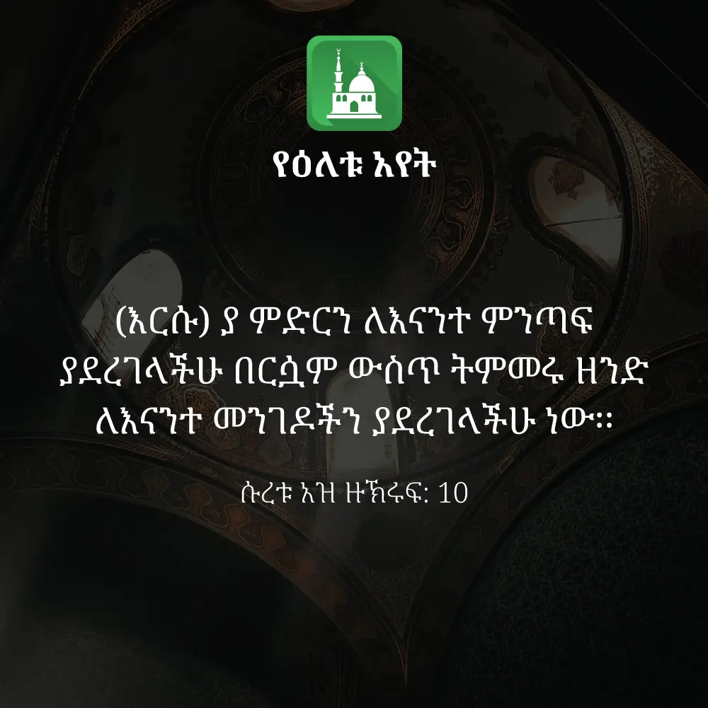 ዕለታዊ አያት