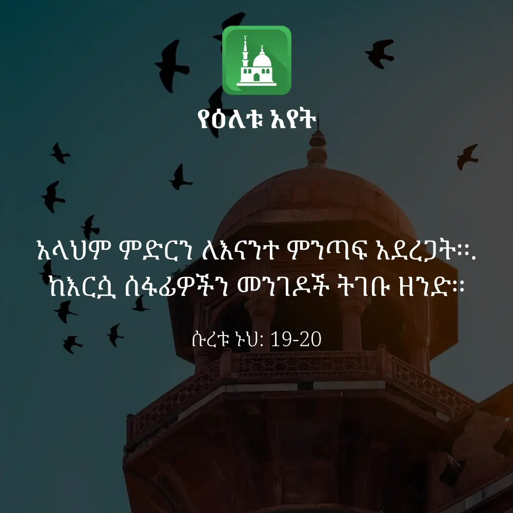 ዕለታዊ አያት