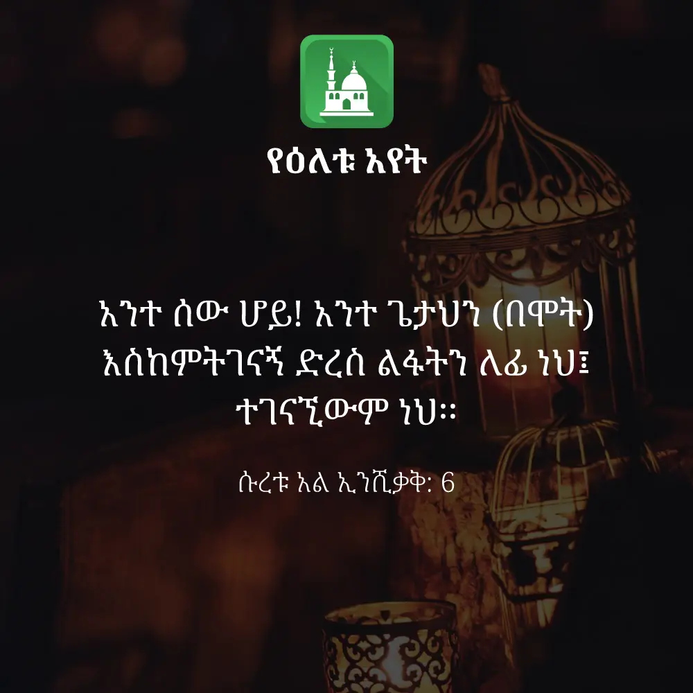 ዕለታዊ አያት