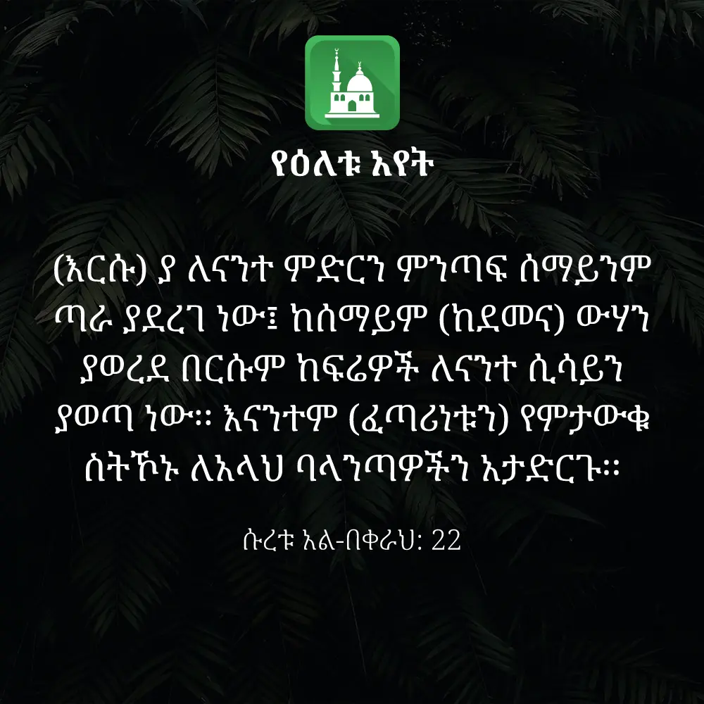 ዕለታዊ አያት