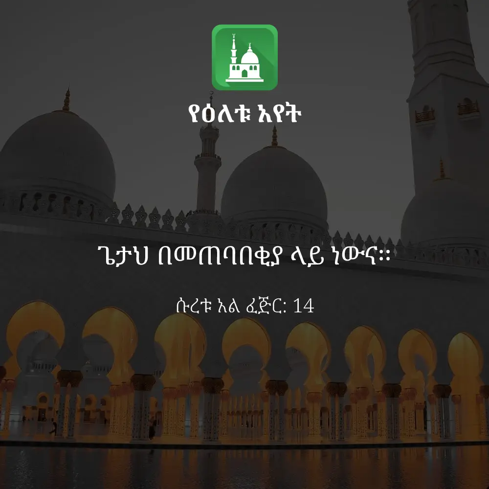 ዕለታዊ አያት