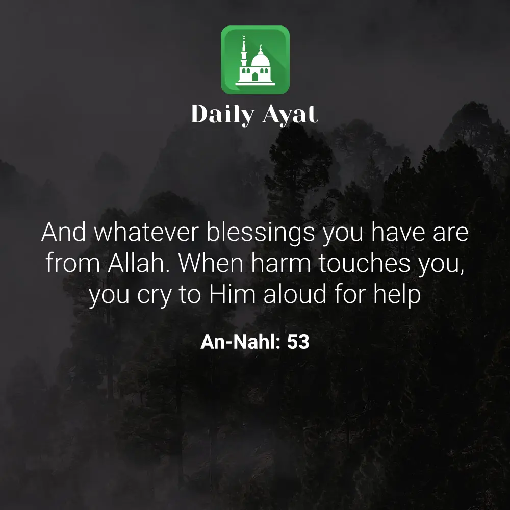 Daily Ayat