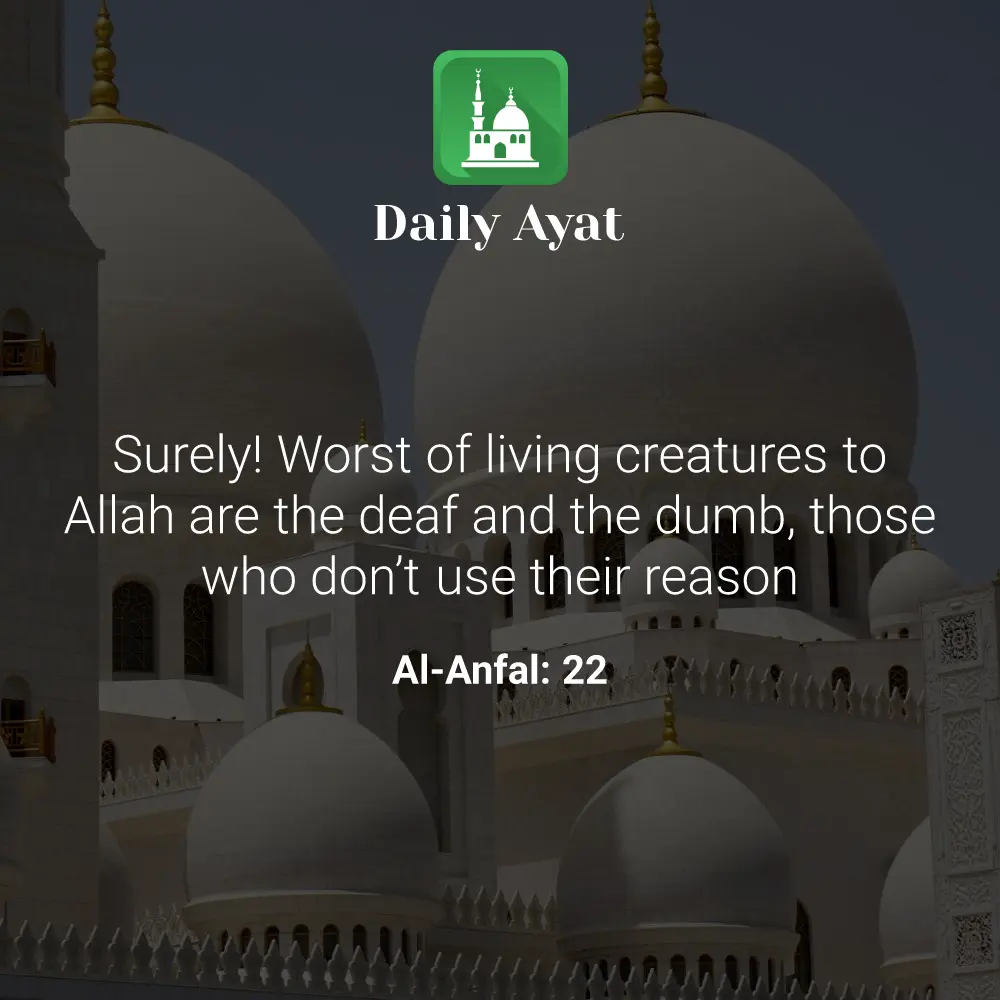 Daily Ayat