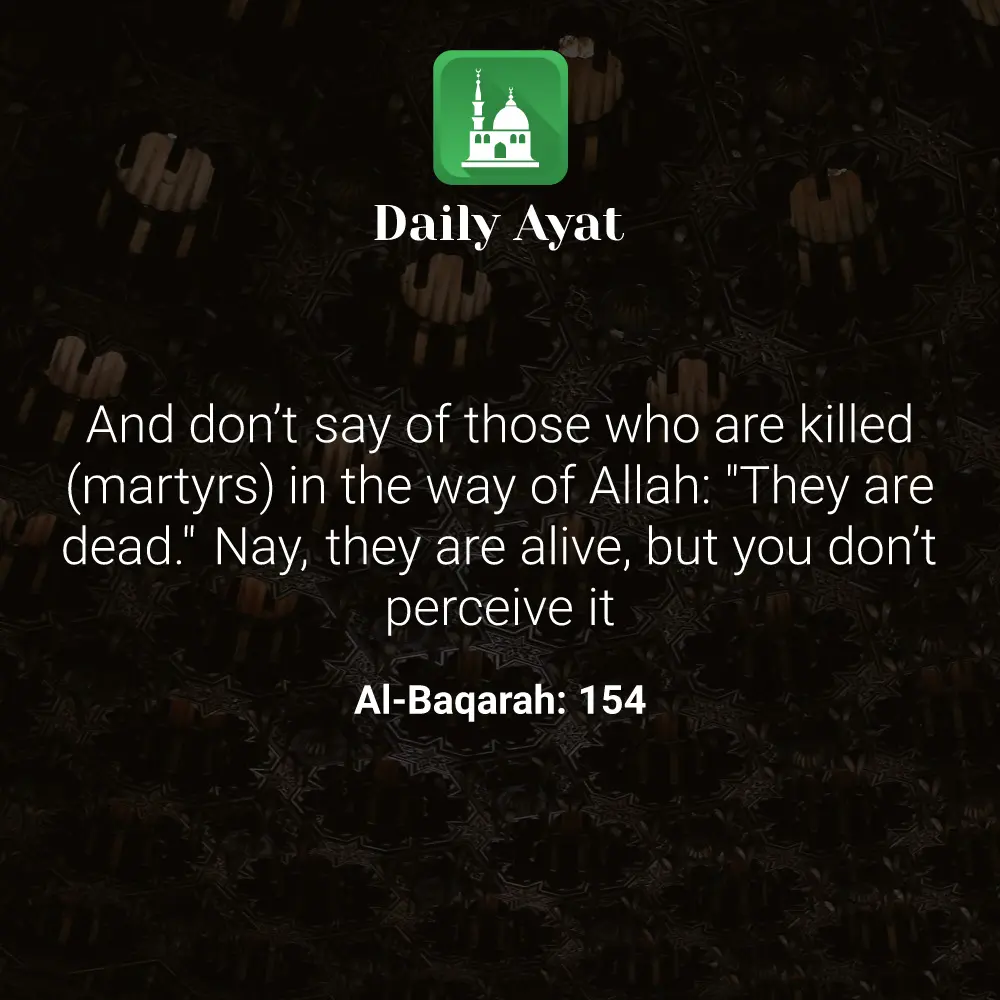Daily Ayat