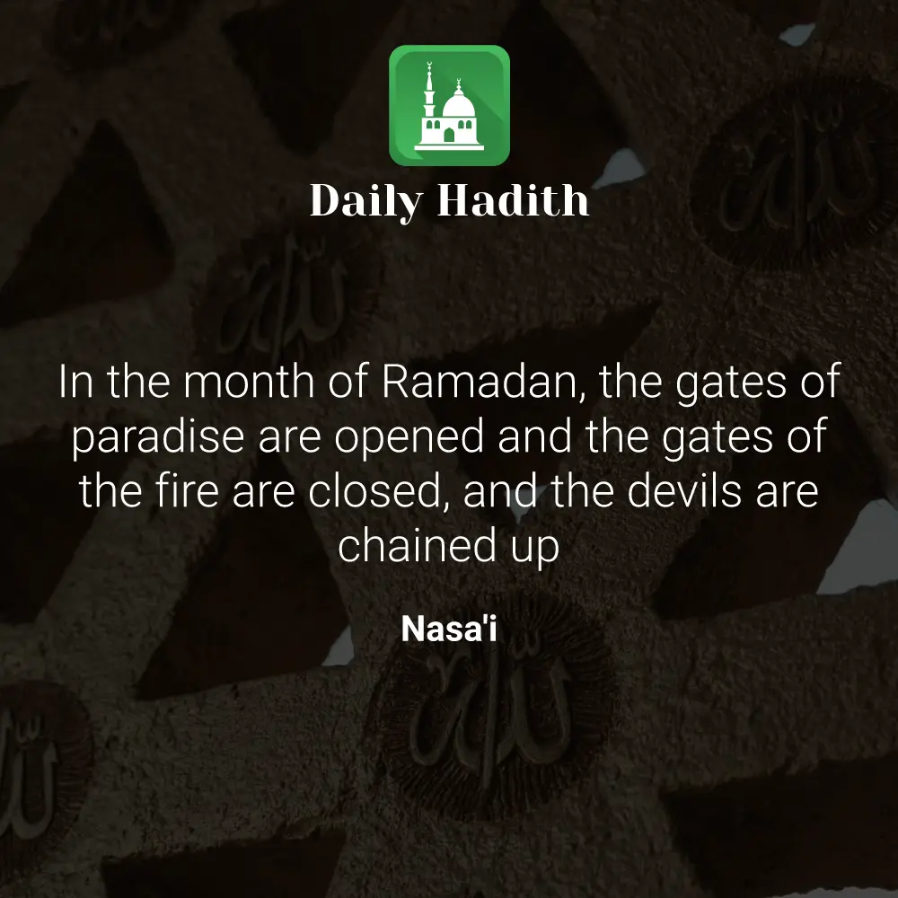 Daily Hadith