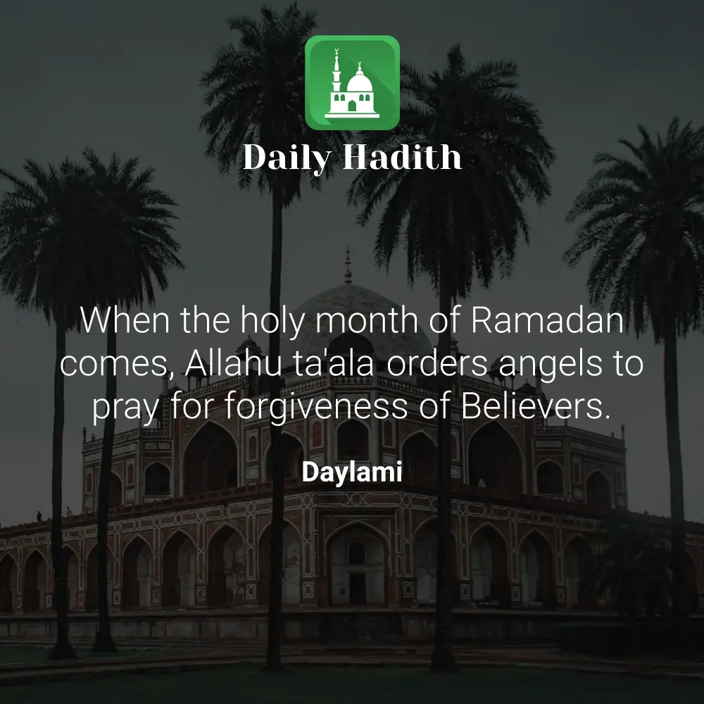 Daily Hadith