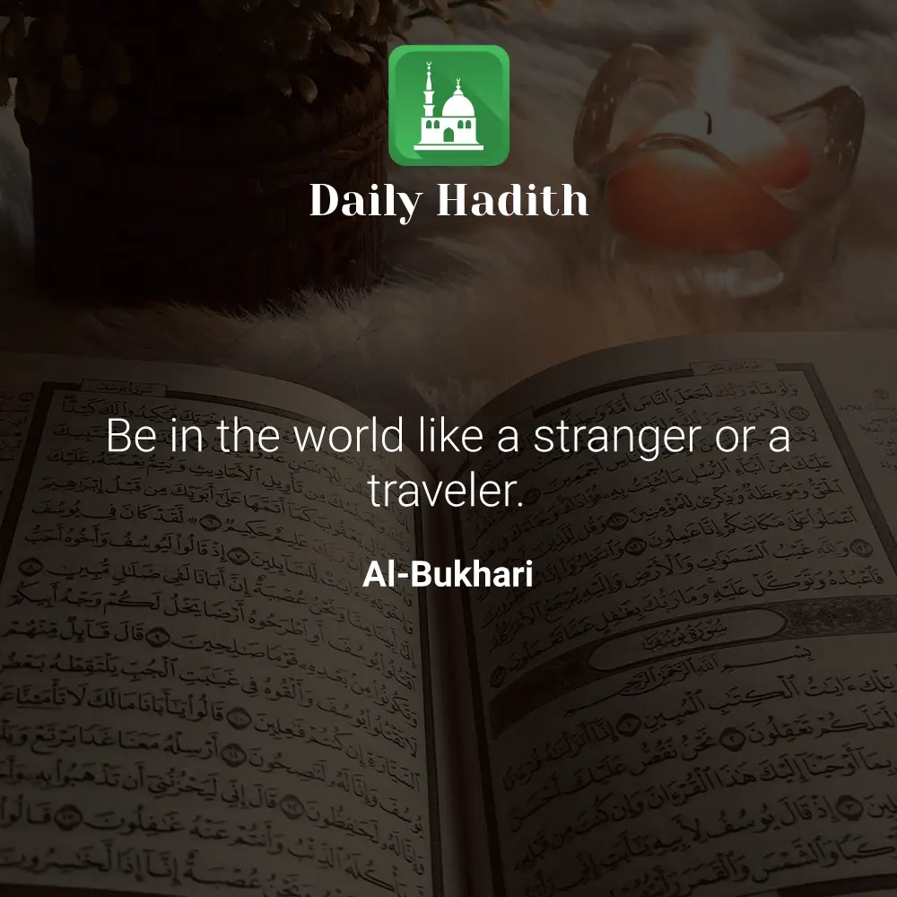 Daily Hadith