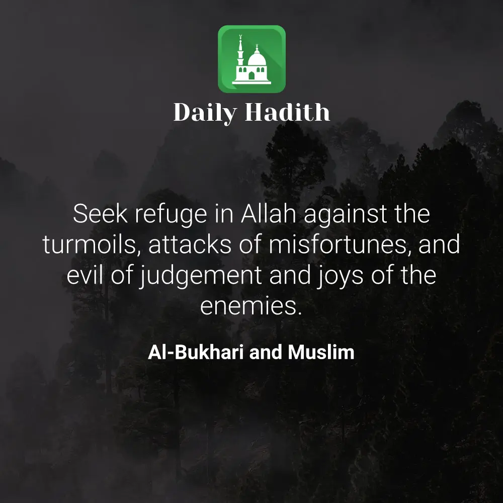 Daily Hadith