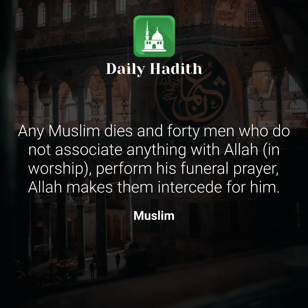 Daily Hadith