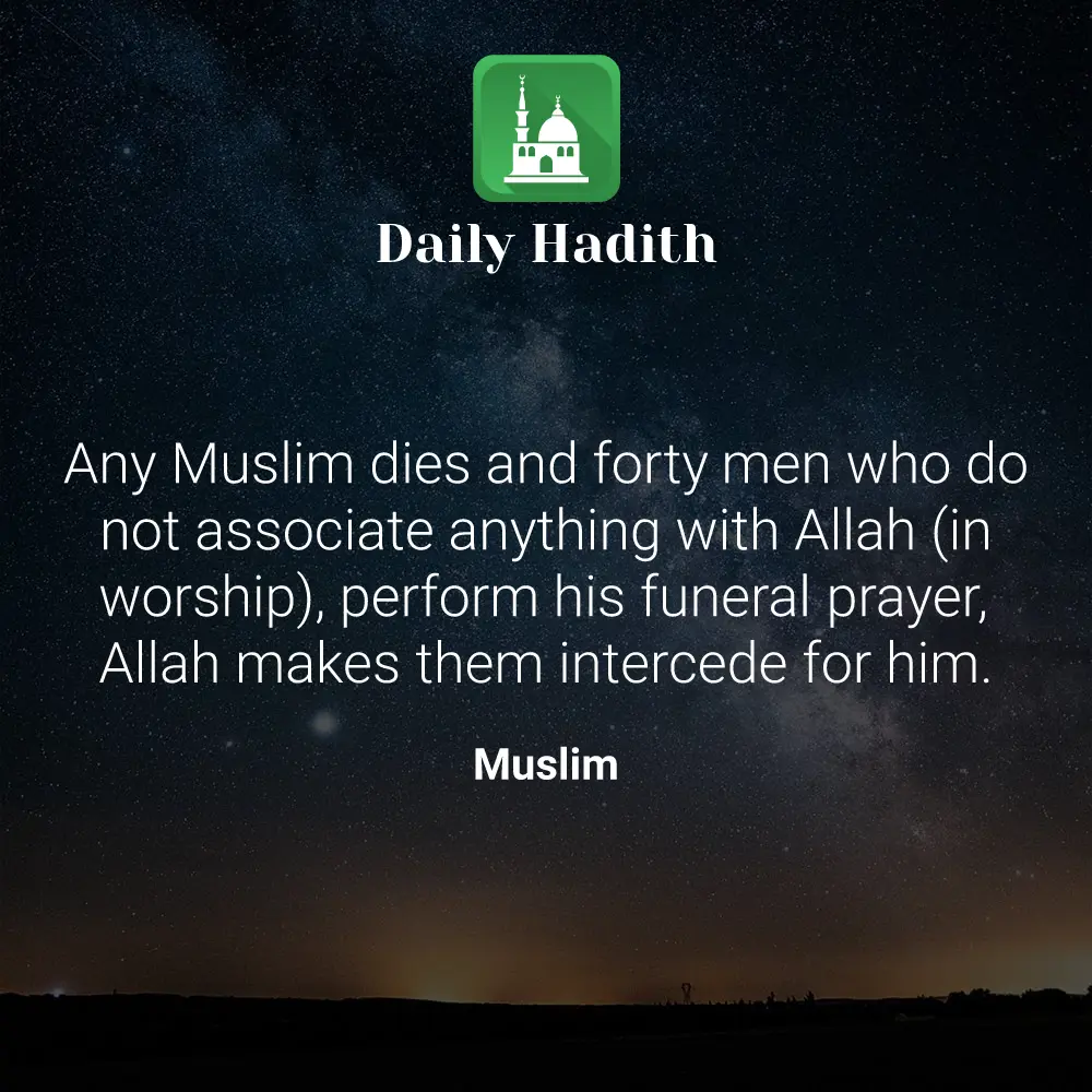 Daily Hadith