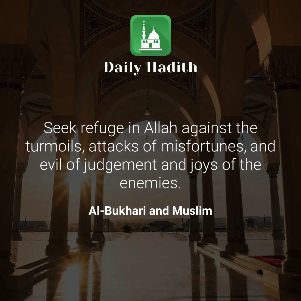 Daily Hadith